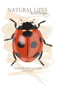 coccinella septempunctata