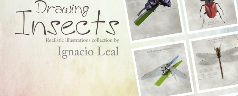ilustracion-digital-insectos
