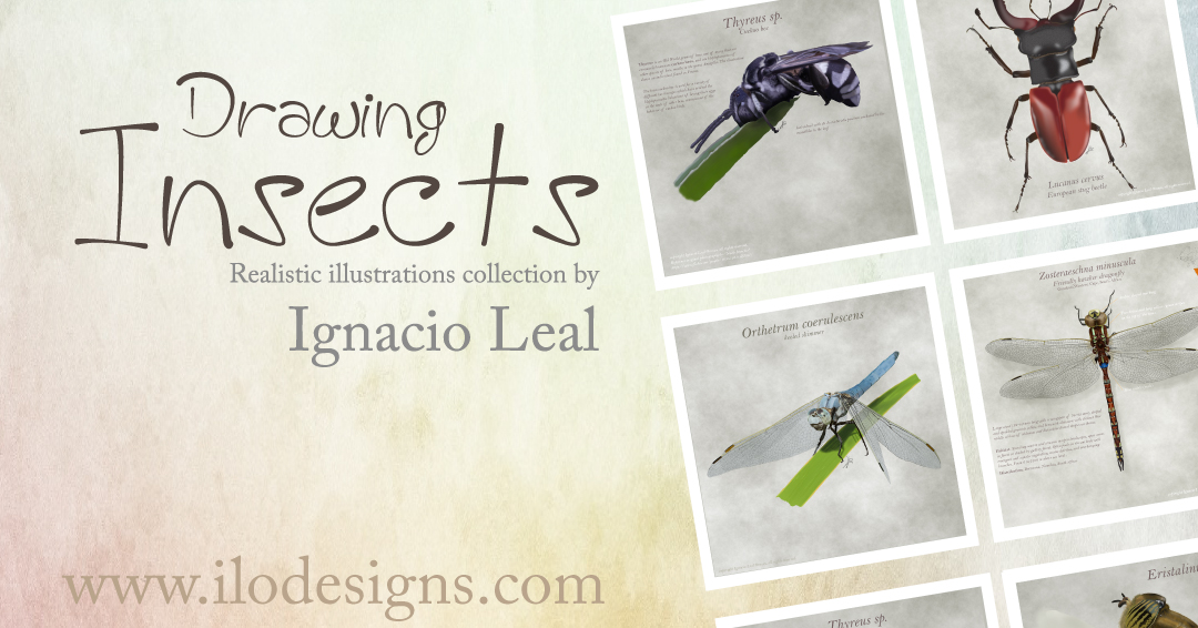 Comienzo la colección de ilustraciones digitales sobre insectos